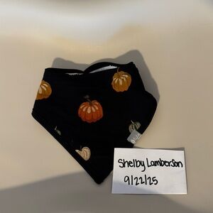 Kyte Baby Midnight Pumpkin Bib